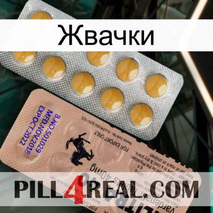 Жвачки 41